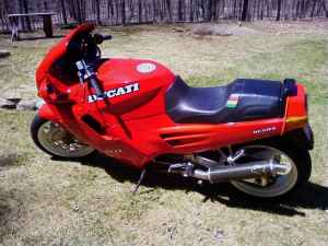 Duc2.jpg