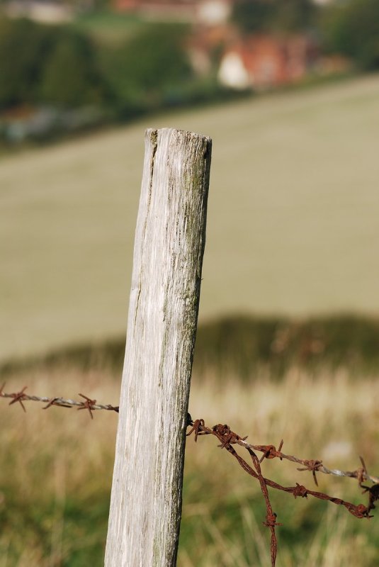 fence-post-with-barbed-wire-1214508.jpg