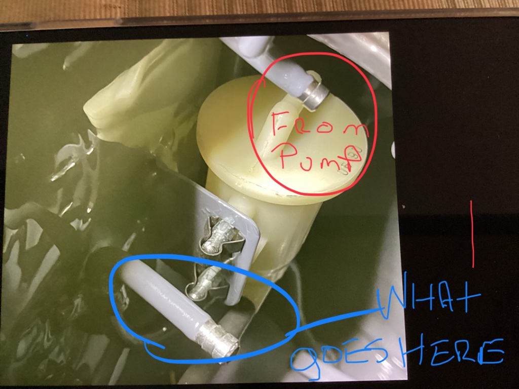 IMG_0287.jpeg