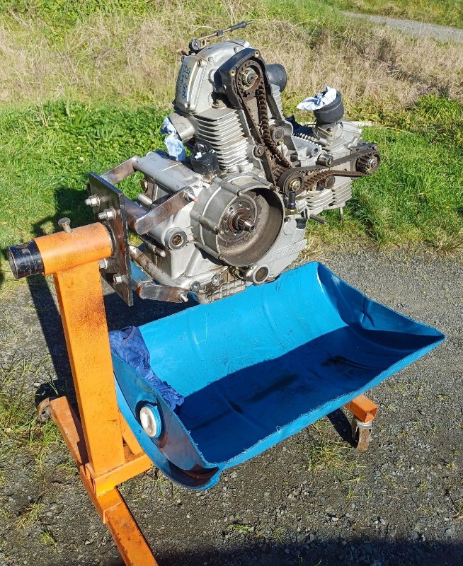 ST2 transplant.jpg